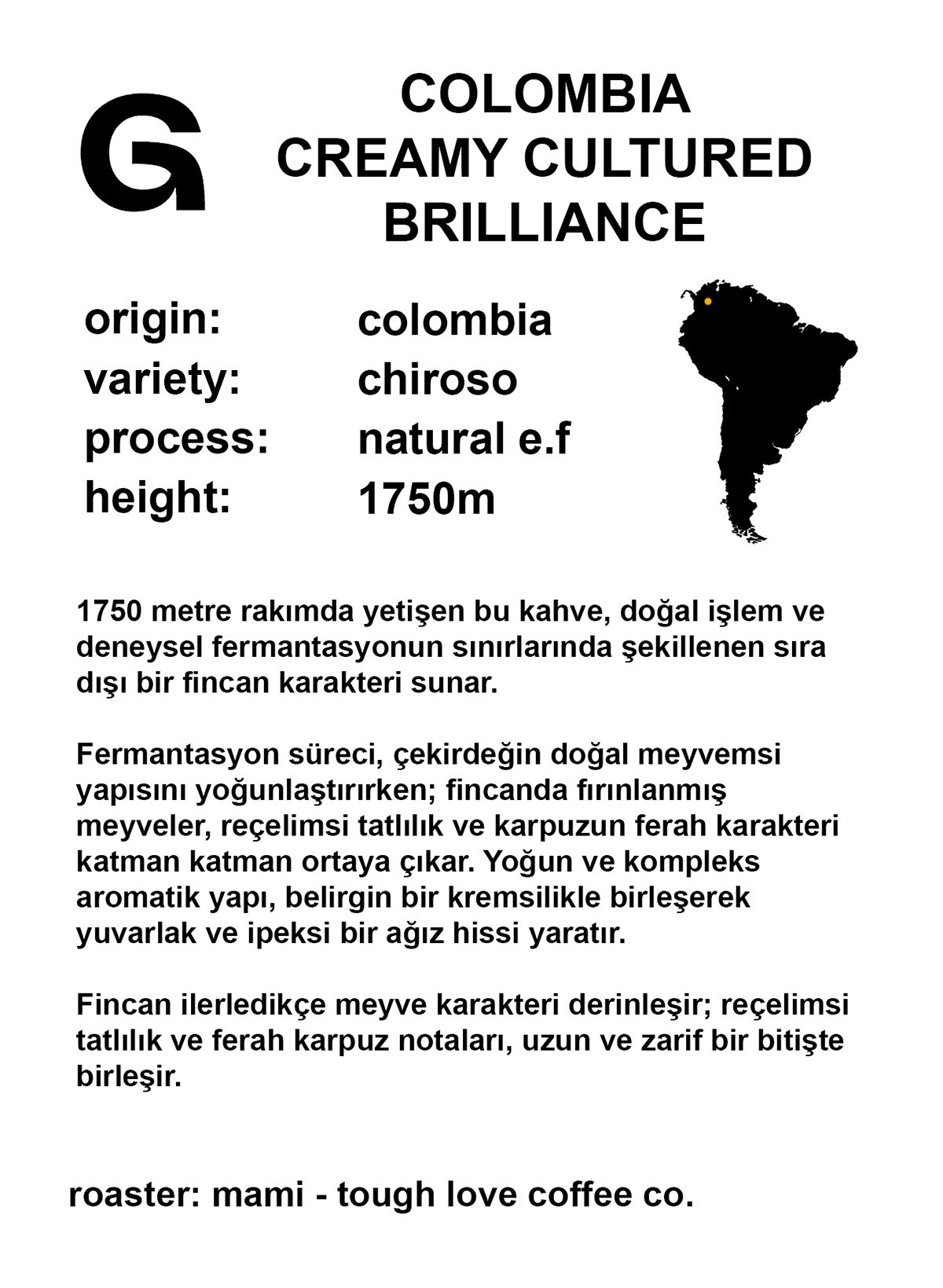 Kahve 10 bilgileri