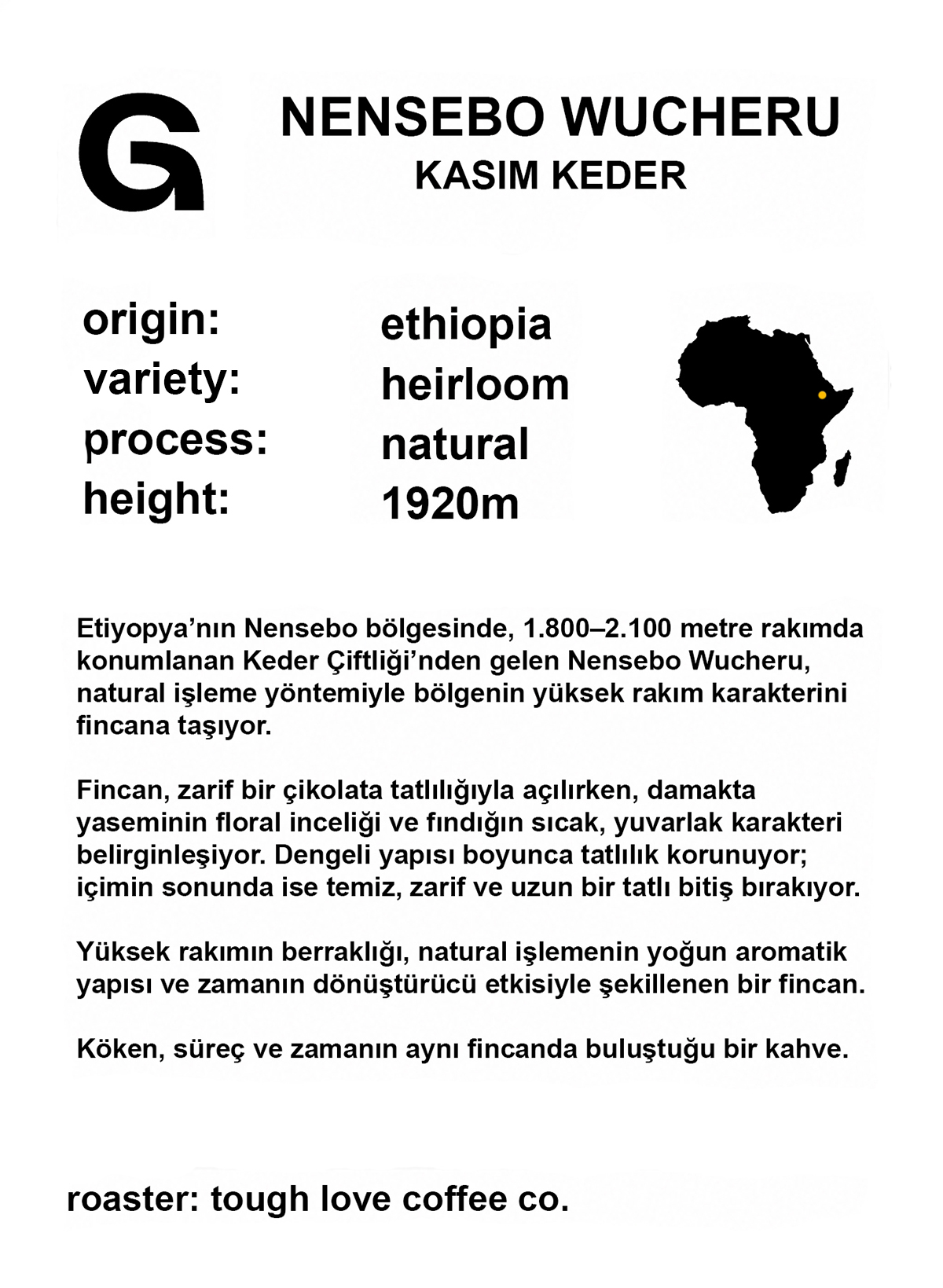 Kahve 7 bilgileri